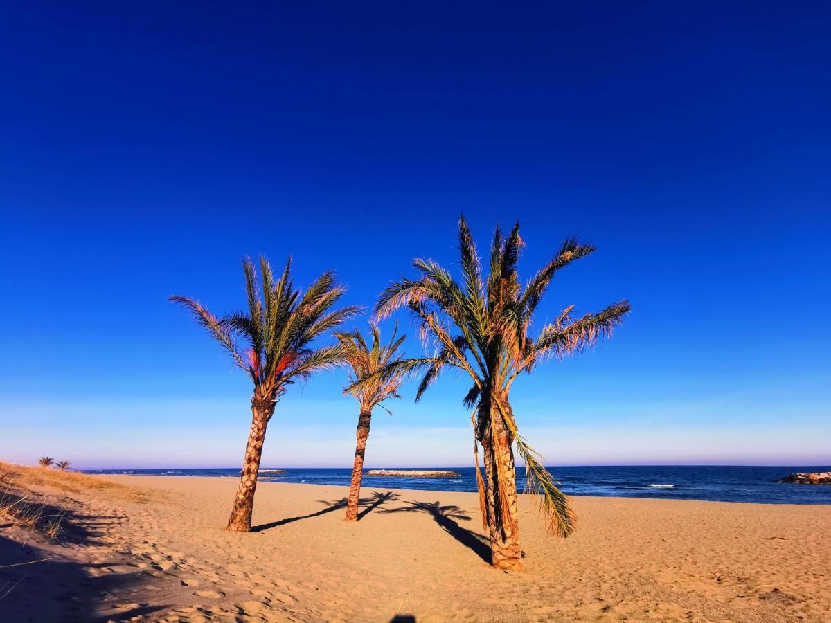 Cap De Mer - Vue Sur Mer - Une Chambre - Une Terrasse - Acces Direct Plage - Commerces A Proximites Le Barcarès المظهر الخارجي الصورة